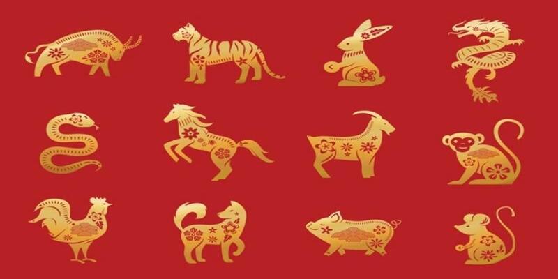 Thông tin về bảng số đề con vật cho người mới